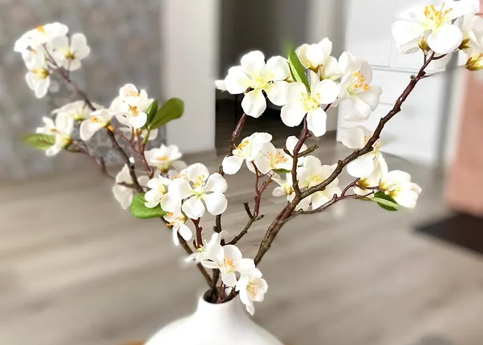 Hubane Kuelaliskorter Paernus Parnawa